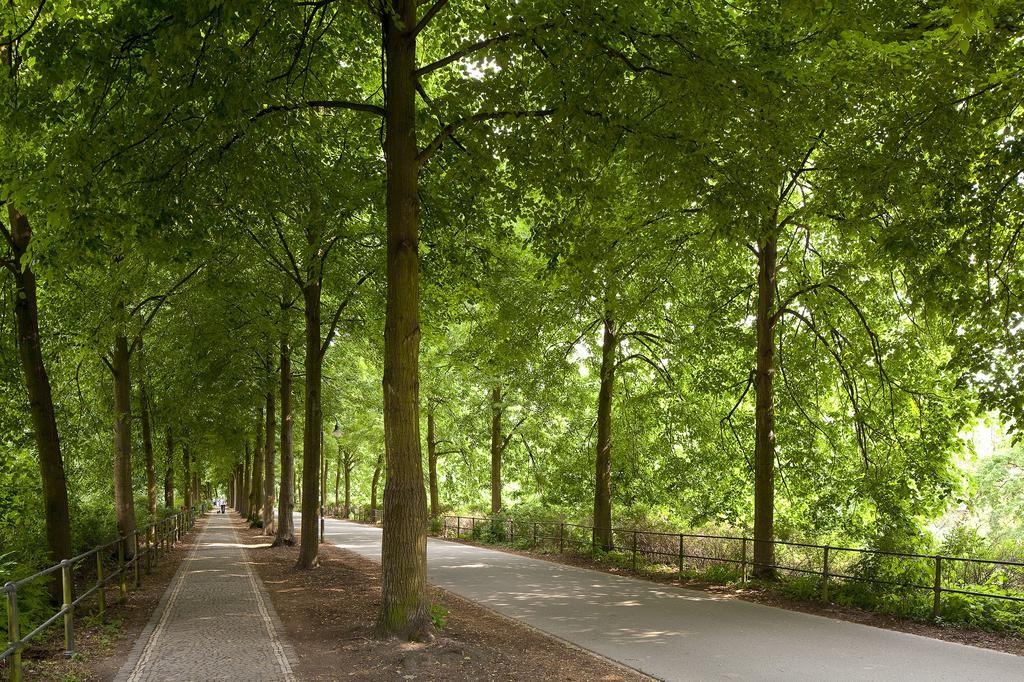 Rosenweg Lägenhet Beelen Exteriör bild